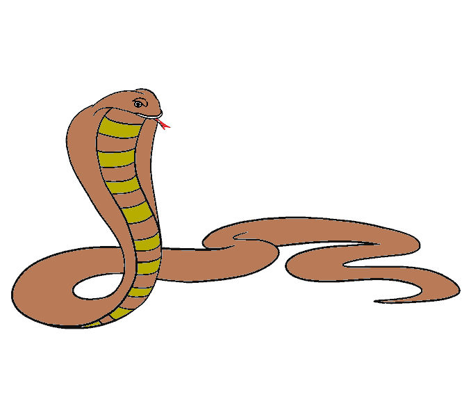Cobra Desenho, cobra, animais, desenho animado, cobra png