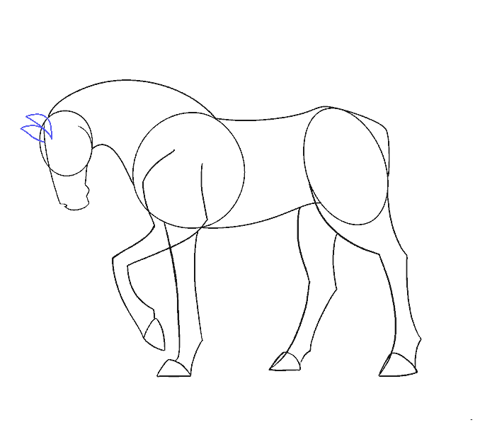 Como desenhar um Cavalo Fácil passo a passo para iniciantes