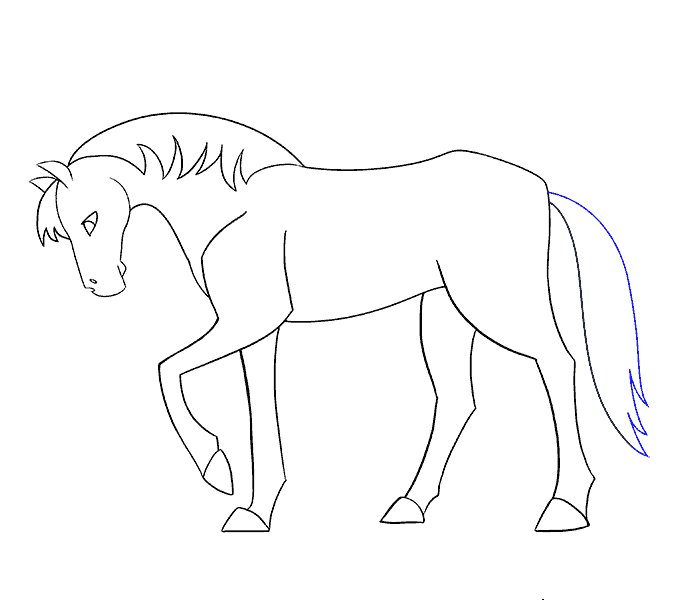 Bạn muốn học cách vẽ một con ngựa từng bước một? Hãy xem hình ảnh này để tìm hiểu cách vẽ một con ngựa đầy đủ chi tiết từ đầu đến chân.