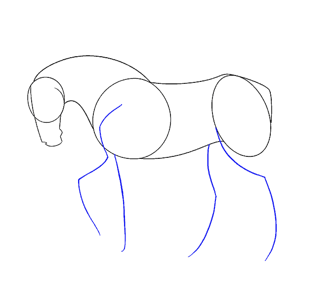 Como Desenhar Um Cavalo Passo a Passo ( 2021 )