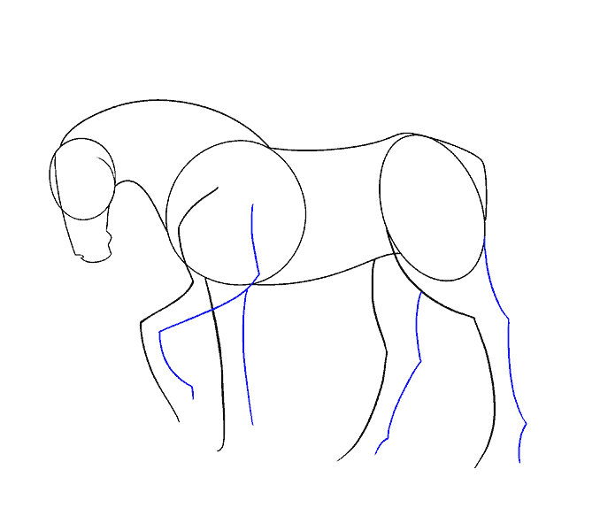 Como Desenhar Cavalo Com Ilustração De Desenho Animado Em 6 Passos
